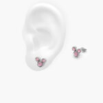 Broqueles Acero Inoxidable 0040