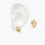 Huggies Chapa de Oro Jaguar 0561