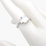 Anillo Plata .925 Rodizado 0042