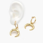 Hoops Chapa de Oro Luna Zirconias 0611