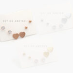 Set Aretes Acero Inoxidable 1417