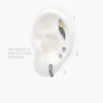 Aretes Plata .925 Rodio Grupo 01