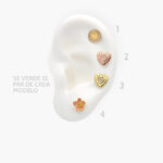 Broqueles Ale Met Grupo 22