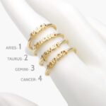 Anillo Chapa de Oro Ajustable Signo Zodiacal 0991