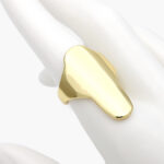 Anillo Chunky Chapa de Oro 1093