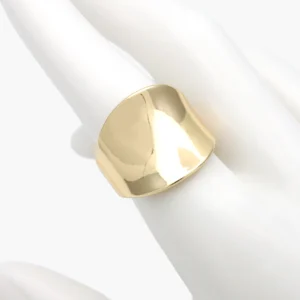 Anillo Ajustable Chunky Chapa de Oro 1319