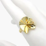 Anillo Ajustable Chunky Chapa de Oro 1363