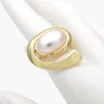 Anillo Ajustable Chapa de Oro Chunky 1406