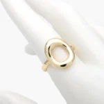 Anillo Ajustable Chunky Chapa de Oro 1443
